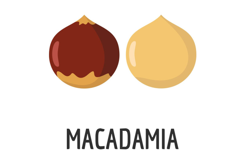 macadamia-icon-flat-style