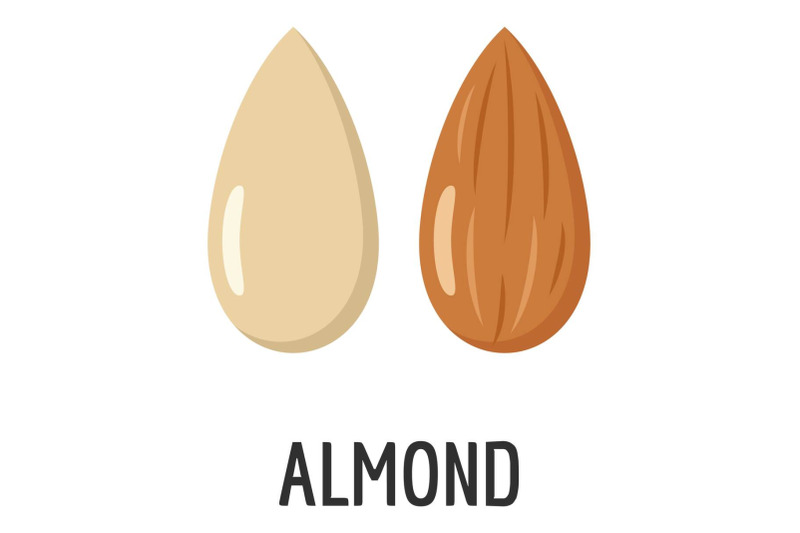 almond-icon-flat-style