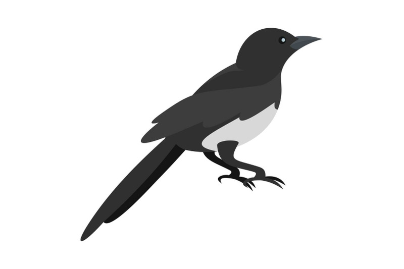 domestic-magpie-icon-flat-style