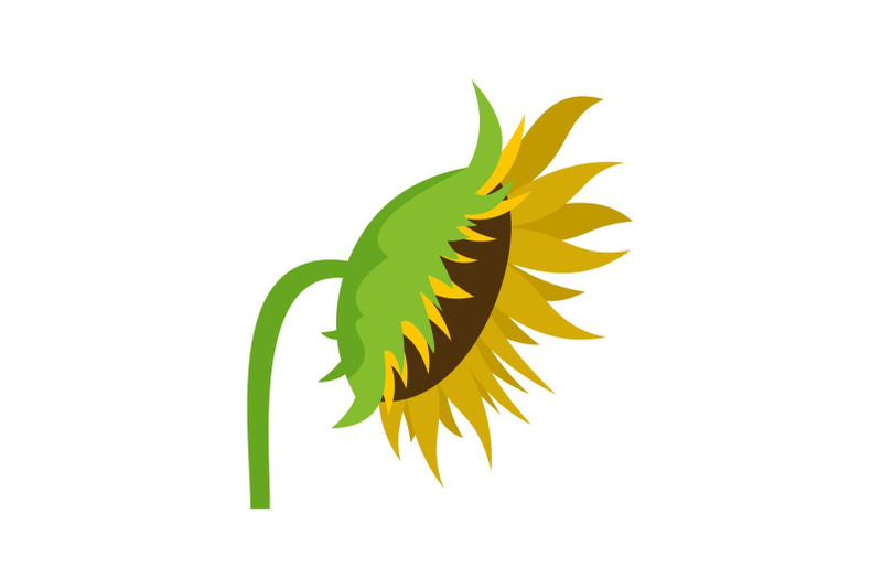 sunflower-icon-flat-style