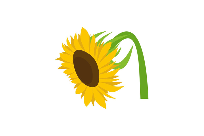 beautiful-sunflower-icon-flat-style