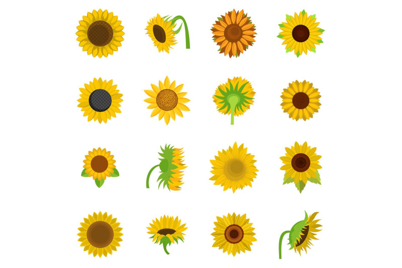 sunflower-blossom-icons-set-vector-isolated