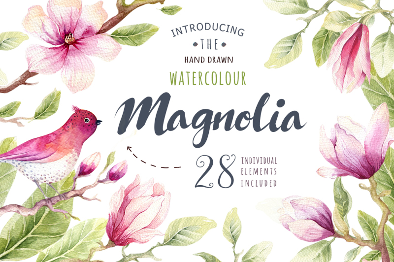 watercolour-magnolia-and-birds