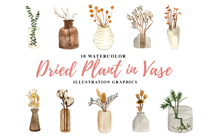 10-watercolor-dried-plant-in-vase-illustration-graphics