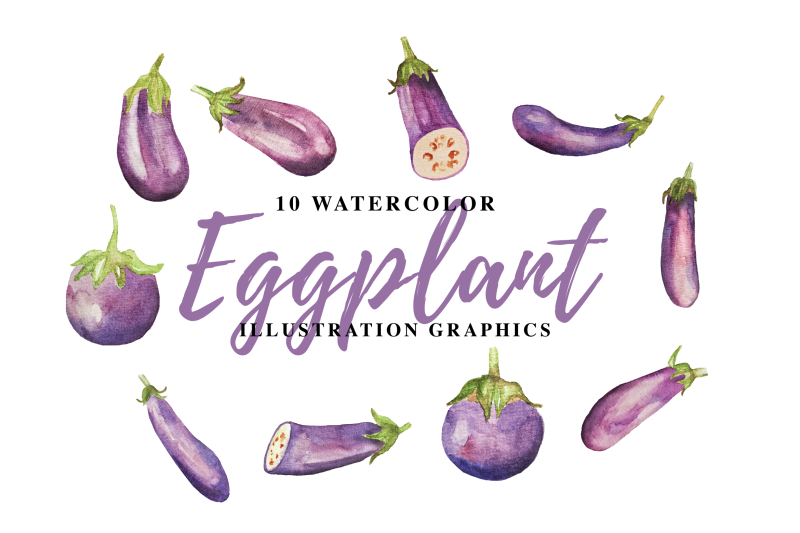 10-watercolor-eggplant-illustration-graphics