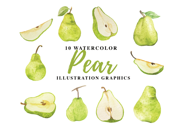 10-watercolor-pear-illustration-graphics