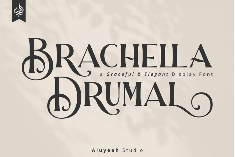 brachella-drumal