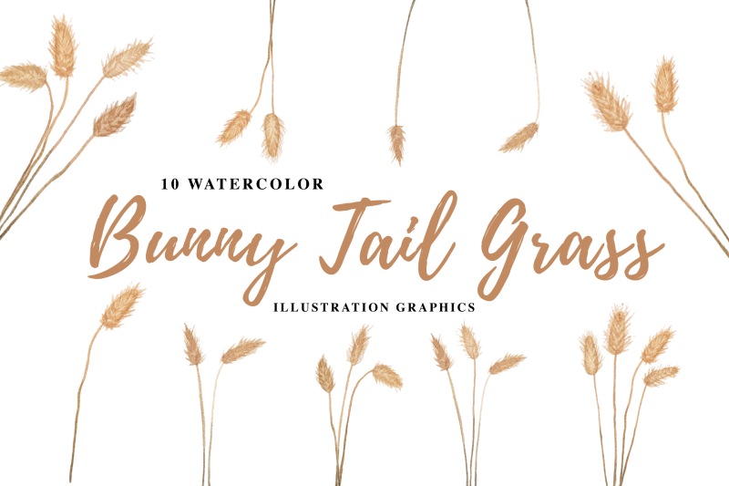 10-watercolor-bunny-tail-grass-illustration-graphics