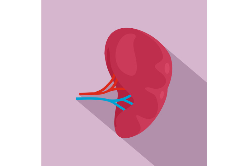 health-kidney-icon-flat-style