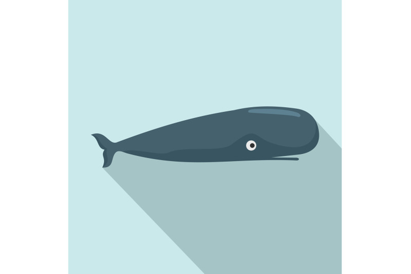 whale-icon-flat-style