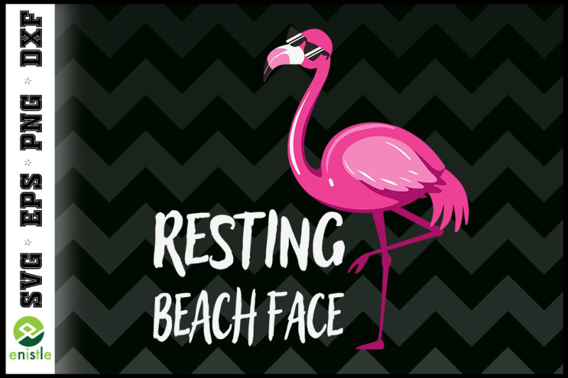 funny-flamingo-resting-beach-face