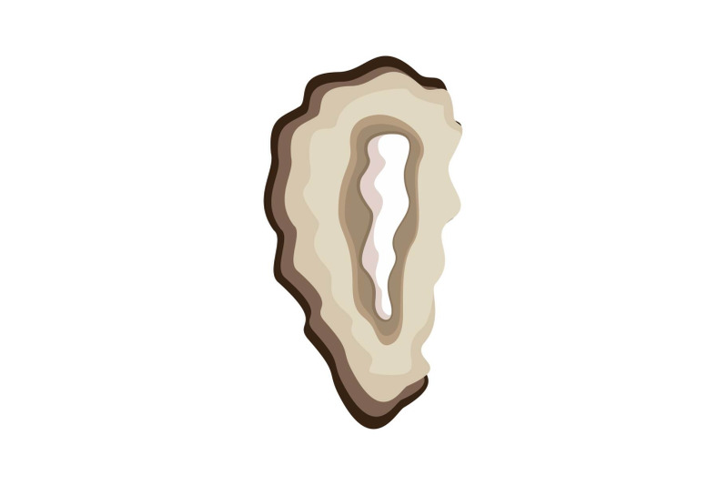 seashell-icon-flat-style