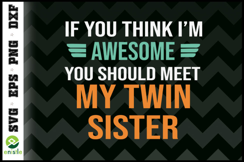 you-should-meet-my-awesome-twin-sister