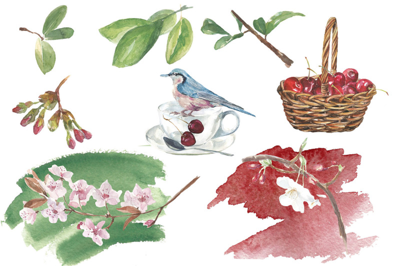 cherry-watercolor-clip-art