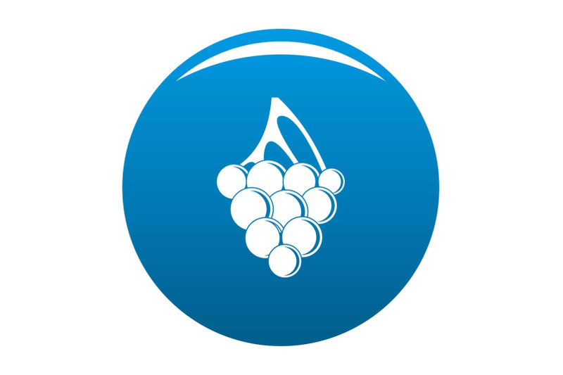 sultana-grape-icon-vector-blue