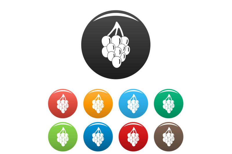 bunch-grape-icons-set-color-vector