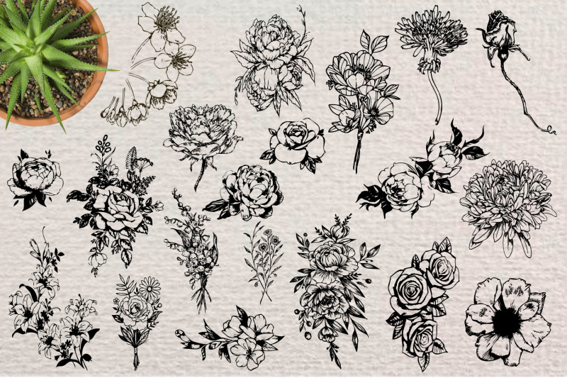 hand-drawn-floral-collection