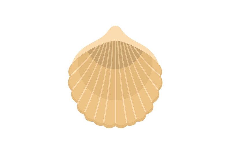 beautiful-shell-icon-flat-style