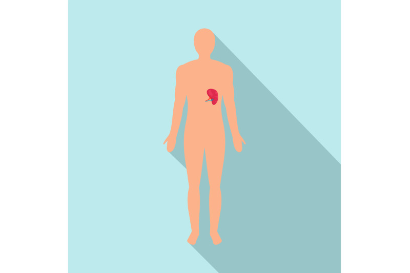front-view-of-human-spleen-icon-flat-style