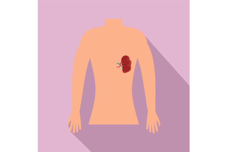 human-spleen-icon-flat-style