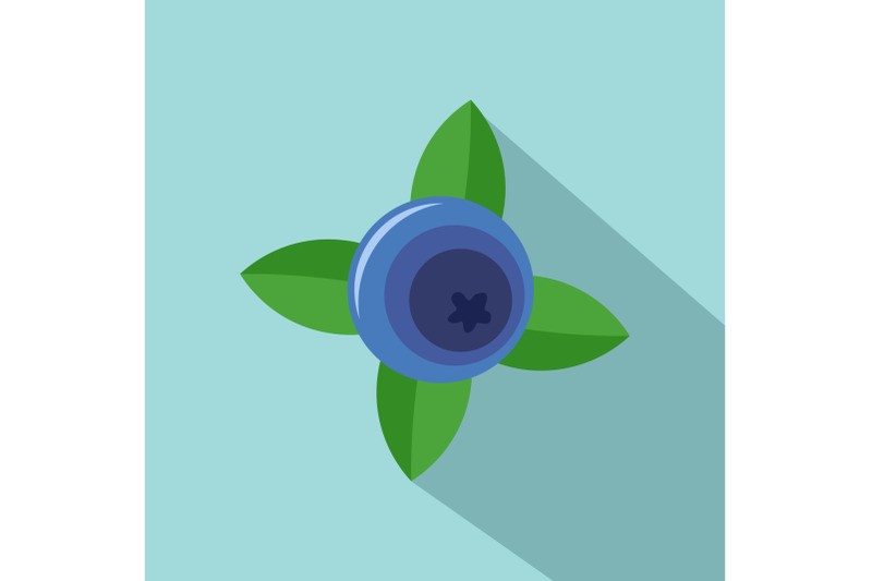blueberry-with-shadow-icon-flat-style