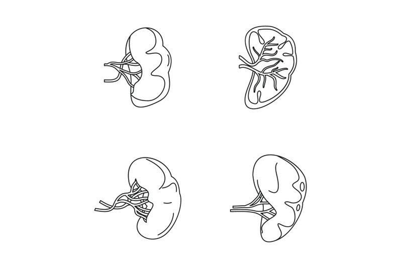 spleen-milt-anatomy-icons-set-outline-style