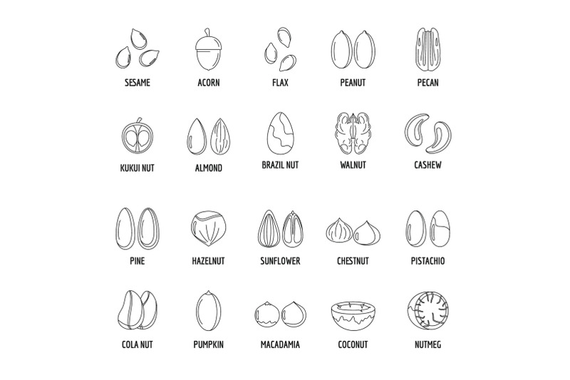 nut-types-with-signed-names-icons-set-outline-style