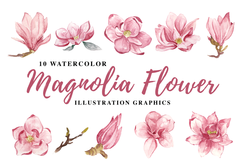 10-watercolor-magnolia-flower-illustration-graphics