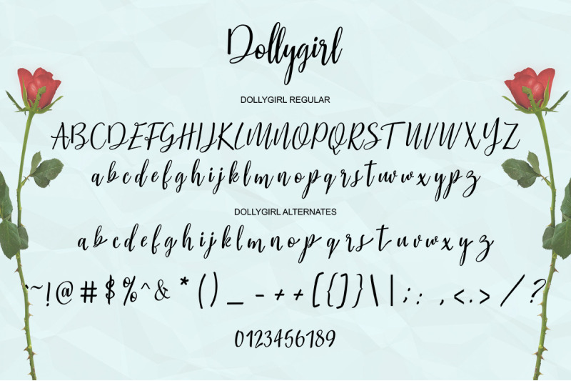 dollygirl-script