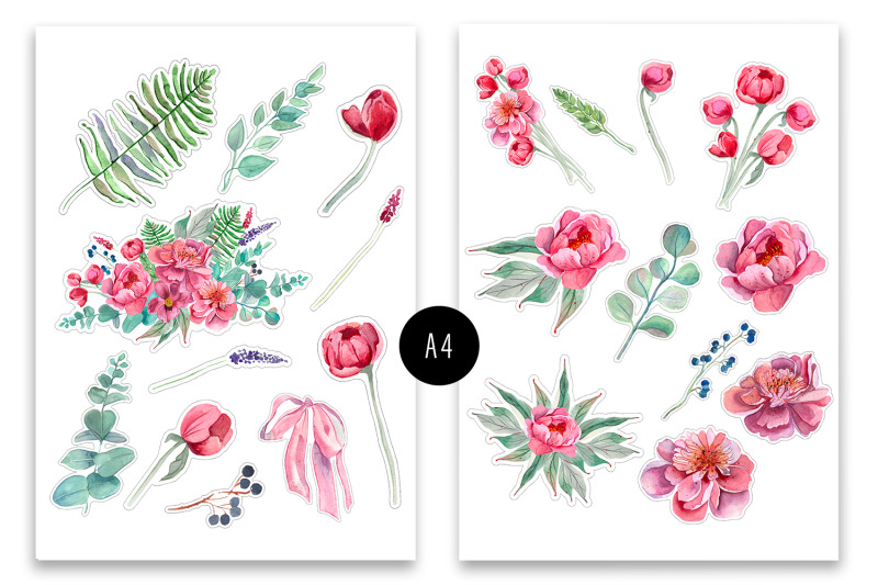 peonies-watercolor-sticker-pack