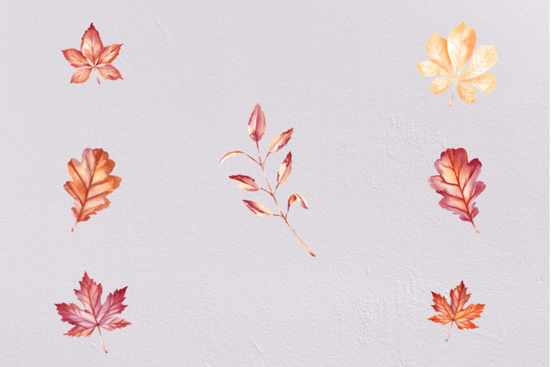 autumn-collection-watercolor-clipart-transparent-png-fall-clipart