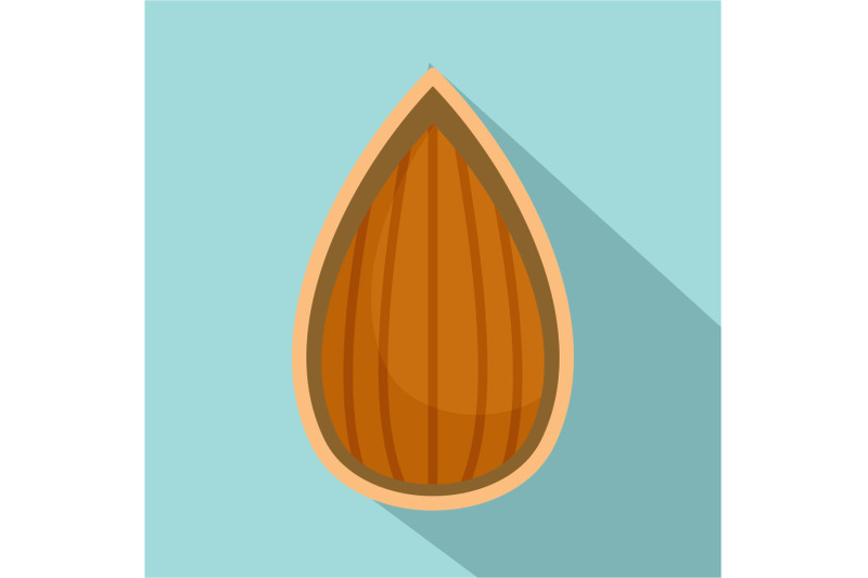almond-in-shell-icon-flat-style