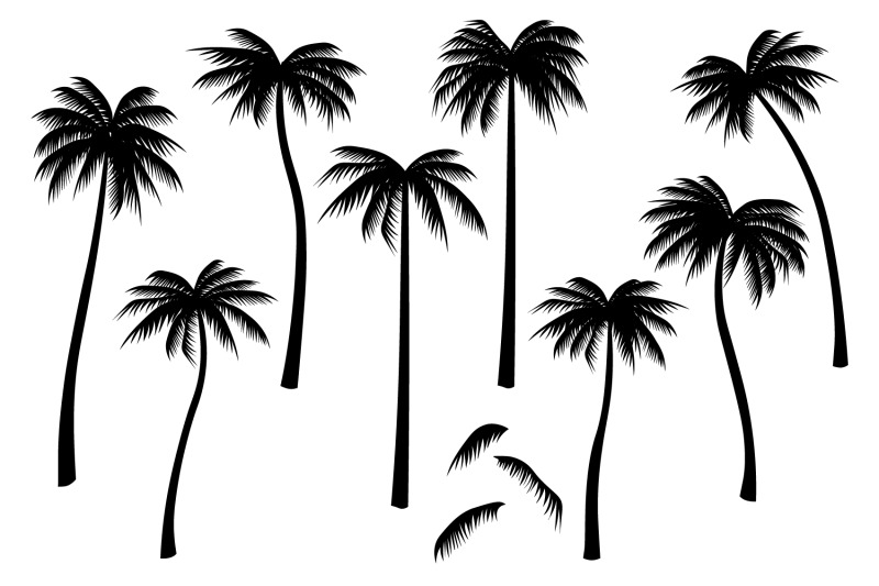 palm-trees-silhouettes-palm-trees-svg-palm-trees-graphics