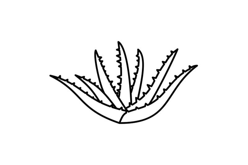 aloe-plant-icon-outline-style