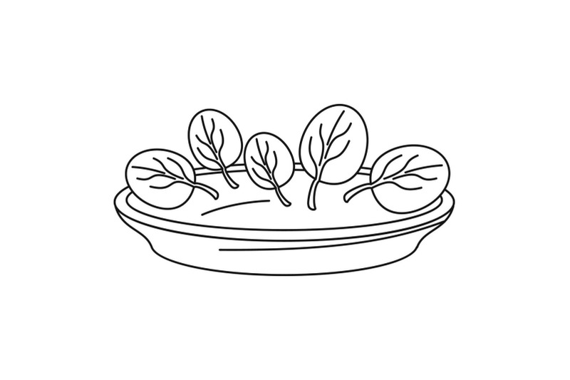 spinach-plate-icon-outline-style