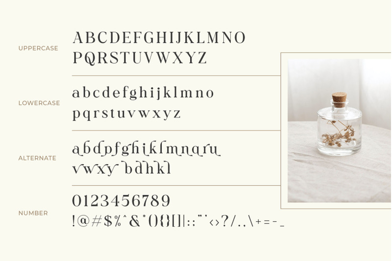 collina-ligature-serif-font