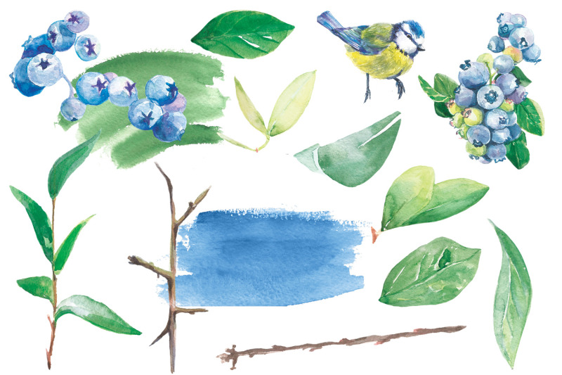 blueberry-watercolor-clip-art