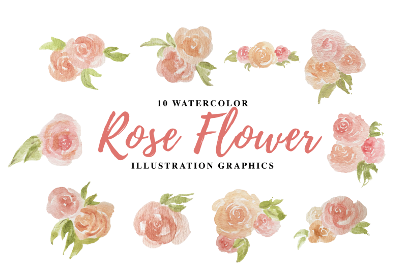 10-watercolor-rose-illustration-graphics