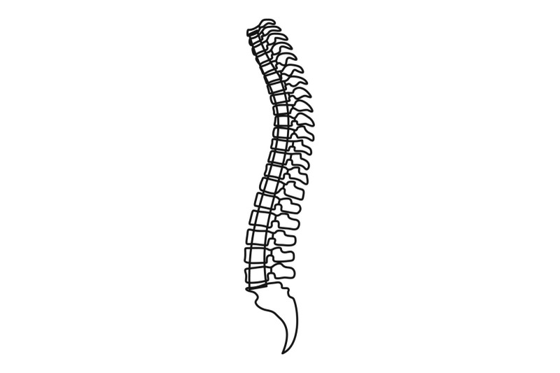 spine-icon-outline-style