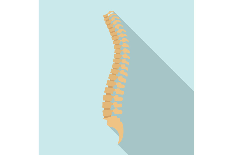 spine-icon-flat-style