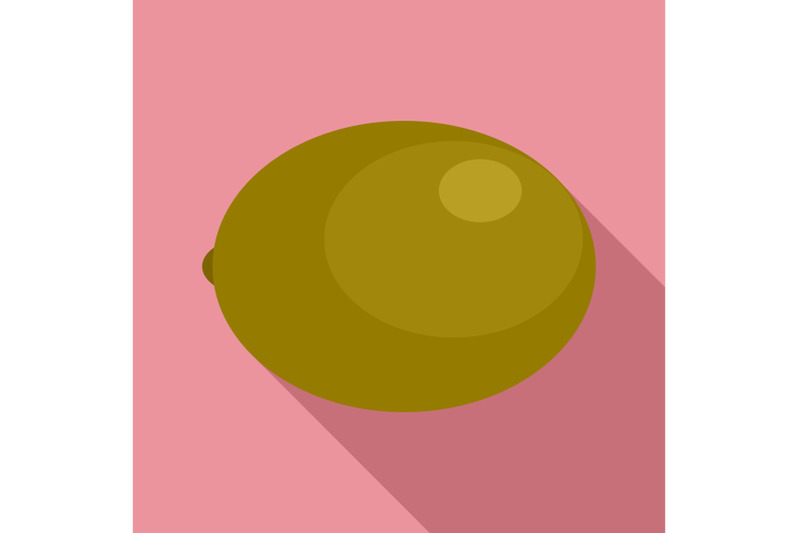 kiwi-icon-flat-style