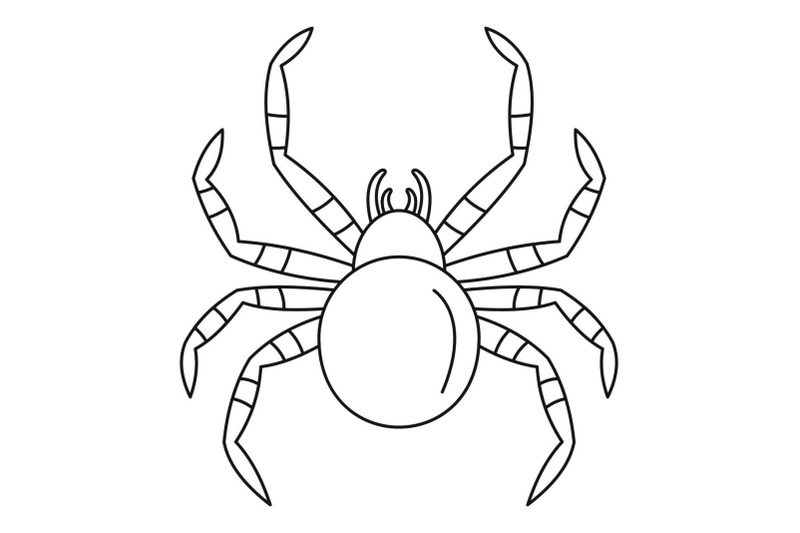 tarantum-spider-icon-outline-style