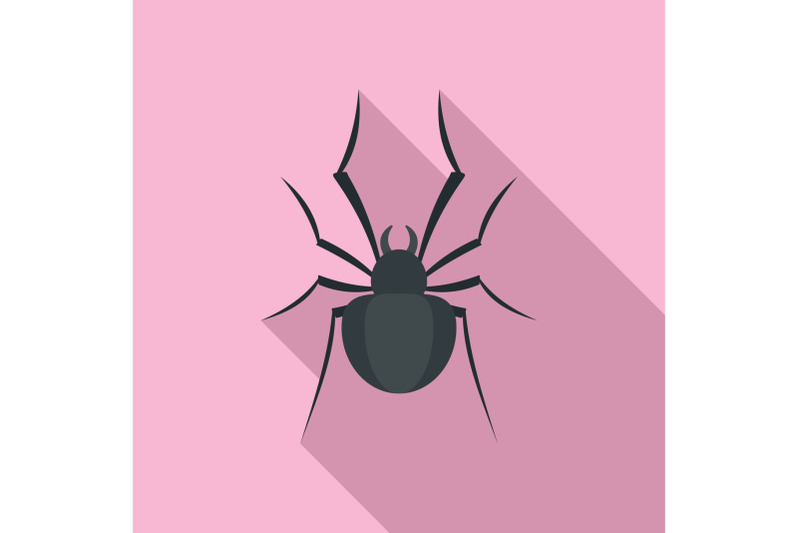 black-house-spider-icon-flat-style