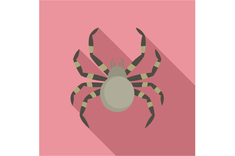 tarantum-spider-icon-flat-style