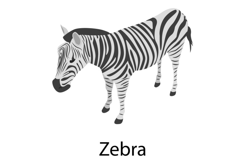 zebra-icon-isometric-style
