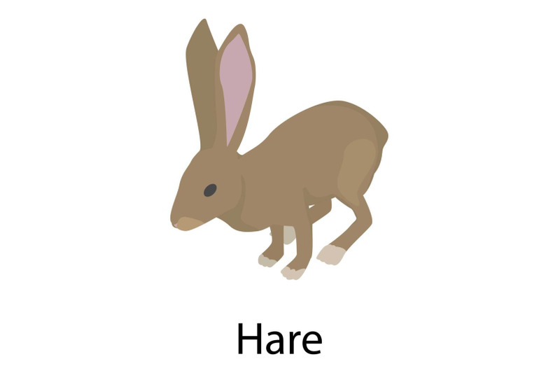 hare-icon-isometric-style