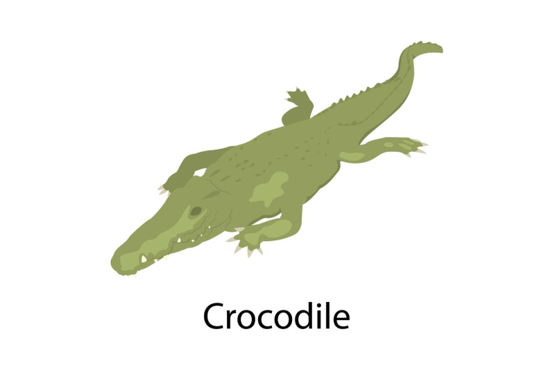 crocodile-icon-isometric-style