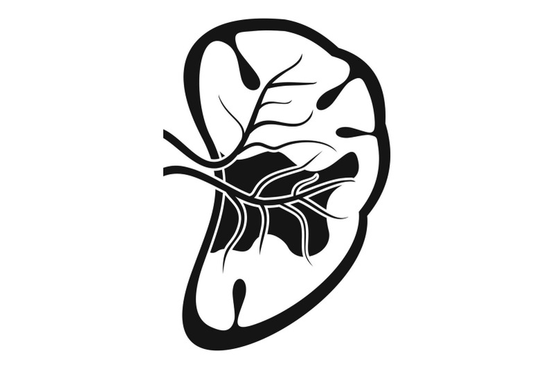 cut-spleen-icon-simple-style