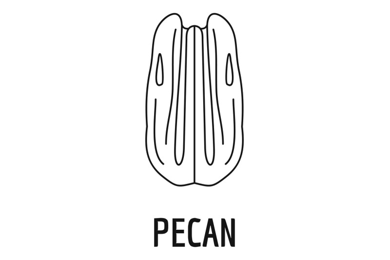 pecan-icon-outline-style