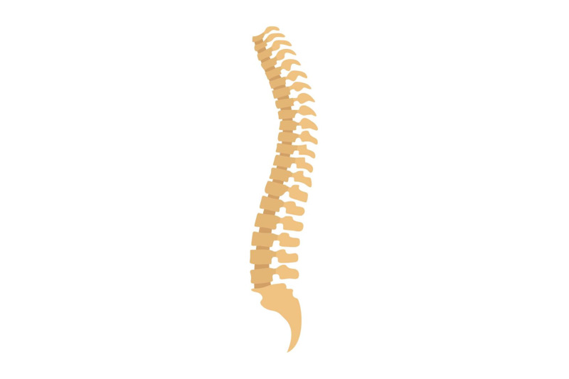 spine-icon-flat-style